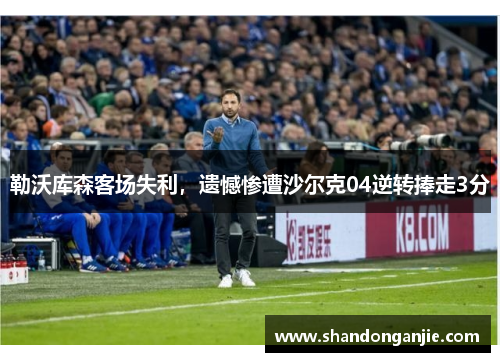 勒沃库森客场失利，遗憾惨遭沙尔克04逆转捧走3分